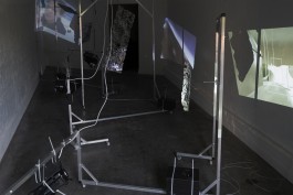 Oros Orob - Motion Sickness Floral Automaton - Thomas Pellerey Grogan