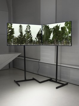 Thomas Grogan - Promenade Floral Automaton - Thomas Pellerey Grogan