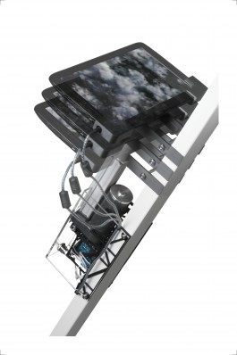 Thomas Grogan - Artificial Mesmerism Floral Automaton - Thomas Pellerey Grogan