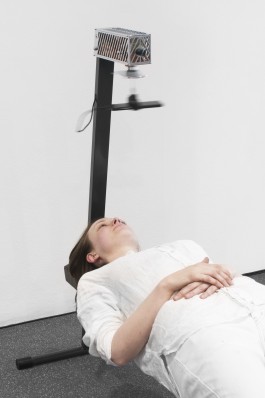 Thomas Grogan - Artificial Mesmerism Floral Automaton - Thomas Pellerey Grogan