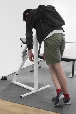 Thomas Grogan - Artificial Mesmerism Floral Automaton - Thomas Pellerey Grogan