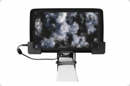 Thomas Grogan - Artificial Mesmerism Floral Automaton - Thomas Pellerey Grogan