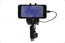 Thomas Grogan - Artificial Mesmerism Floral Automaton - Thomas Pellerey Grogan