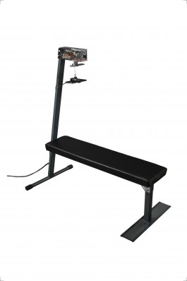 Thomas Grogan - Artificial Mesmerism Floral Automaton - Thomas Pellerey Grogan