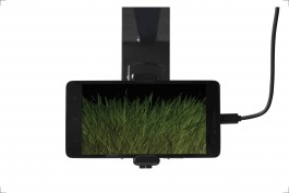 Thomas Grogan - Artificial Mesmerism Floral Automaton - Thomas Pellerey Grogan