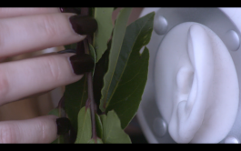 Thomas Grogan & WhispersRed - ASMR Southbank Floral Automaton - Thomas Pellerey Grogan