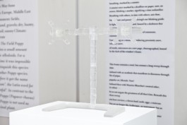 Thomas Grogan - VESA, an open container Floral Automaton - Thomas Pellerey Grogan