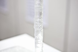 Thomas Grogan - VESA, an open container Floral Automaton - Thomas Pellerey Grogan