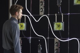 Thomas Grogan - Floral Automaton Floral Automaton - Thomas Pellerey Grogan