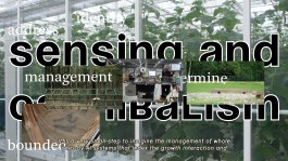  Floral Automaton - Thomas Pellerey Grogan