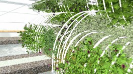  Floral Automaton - Thomas Pellerey Grogan