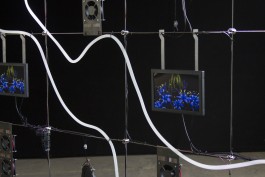 Floral Automaton - Thomas Pellerey Grogan