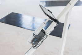 Floral Automaton - Thomas Pellerey Grogan