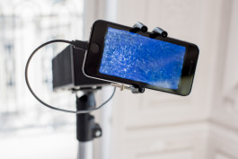 Floral Automaton - Thomas Pellerey Grogan