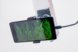 Floral Automaton - Thomas Pellerey Grogan