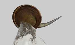 Floral Automaton - Thomas Pellerey Grogan