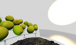 Floral Automaton - Thomas Pellerey Grogan