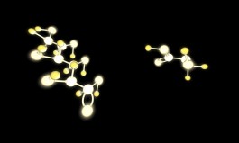 Floral Automaton - Thomas Pellerey Grogan