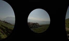 Floral Automaton - Thomas Pellerey Grogan