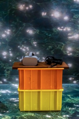 Floral Automaton - Thomas Pellerey Grogan