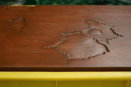 Floral Automaton - Thomas Pellerey Grogan