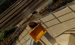 Floral Automaton - Thomas Pellerey Grogan