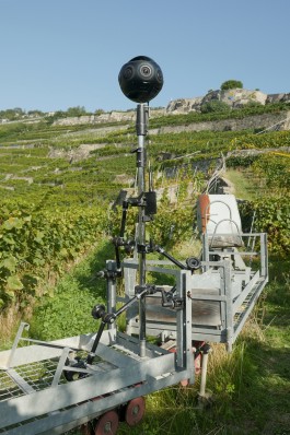 Floral Automaton - Thomas Pellerey Grogan