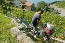 Floral Automaton - Thomas Pellerey Grogan