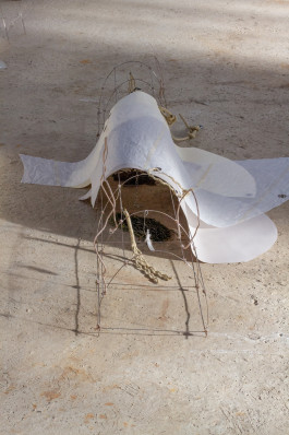 Floral Automaton - Thomas Pellerey Grogan