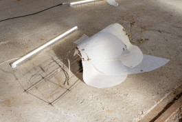 Floral Automaton - Thomas Pellerey Grogan