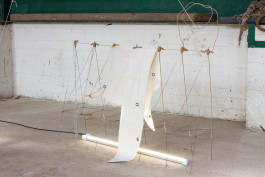 Floral Automaton - Thomas Pellerey Grogan