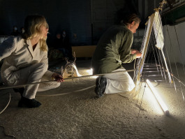 Floral Automaton - Thomas Pellerey Grogan