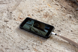 Floral Automaton - Thomas Pellerey Grogan