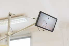 Floral Automaton - Thomas Pellerey Grogan