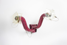  Floral Automaton - Thomas Pellerey Grogan