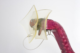  Floral Automaton - Thomas Pellerey Grogan