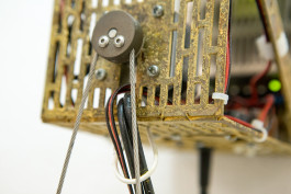  Floral Automaton - Thomas Pellerey Grogan