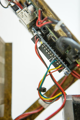  Floral Automaton - Thomas Pellerey Grogan