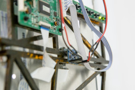  Floral Automaton - Thomas Pellerey Grogan