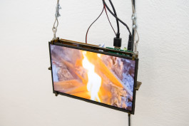  Floral Automaton - Thomas Pellerey Grogan