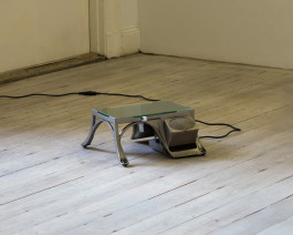  Floral Automaton - Thomas Pellerey Grogan