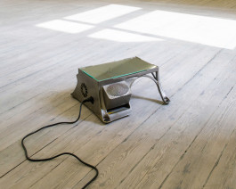  Floral Automaton - Thomas Pellerey Grogan