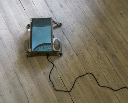  Floral Automaton - Thomas Pellerey Grogan