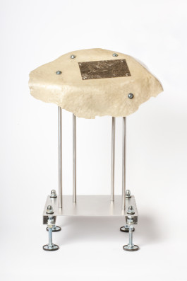  Floral Automaton - Thomas Pellerey Grogan