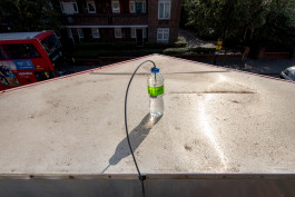 Floral Automaton - Thomas Pellerey Grogan