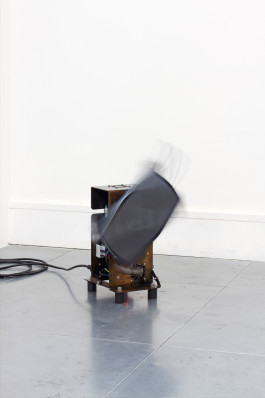  Floral Automaton - Thomas Pellerey Grogan