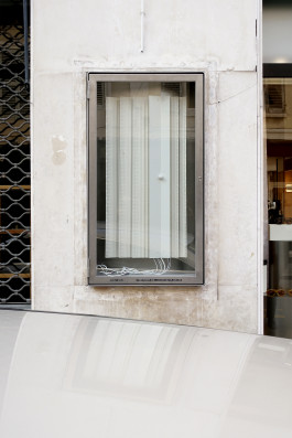  Floral Automaton - Thomas Pellerey Grogan