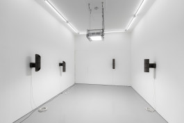  Floral Automaton - Thomas Pellerey Grogan