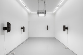  Floral Automaton - Thomas Pellerey Grogan