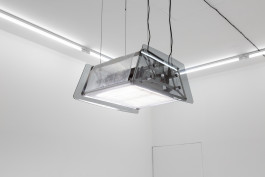  Floral Automaton - Thomas Pellerey Grogan